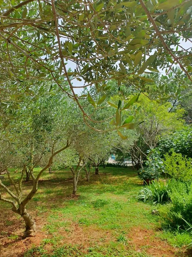 Vila Olive Garden Posedarje 0*,  Chorvatsko